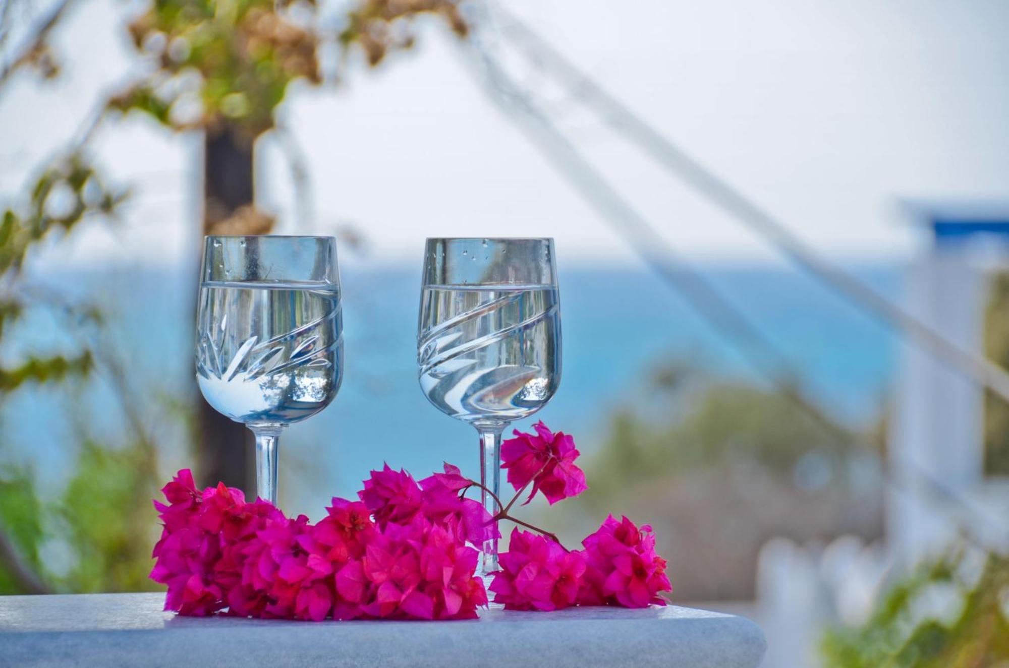 Sea View Apartments & Studios Agia Anna  エクステリア 写真